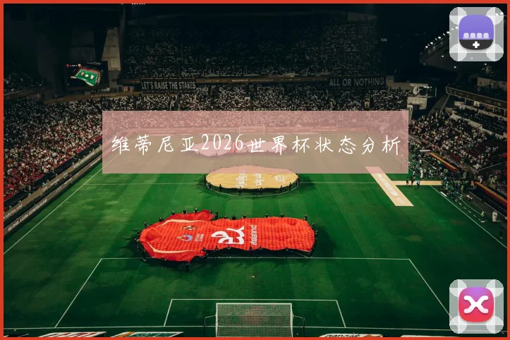 维蒂尼亚2026世界杯状态分析