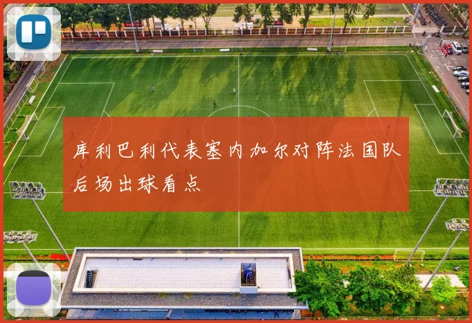 库利巴利代表塞内加尔对阵法国队后场出球看点