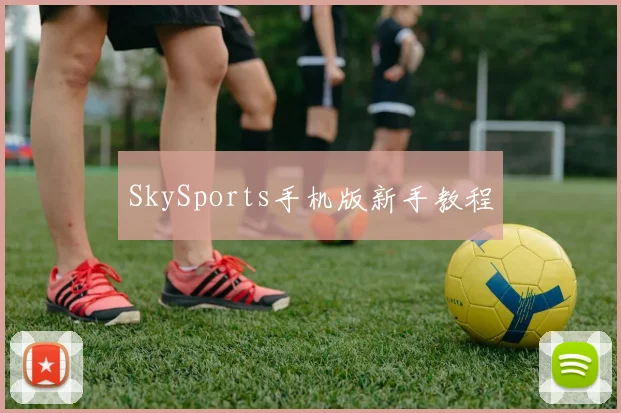SkySports手机版新手教程