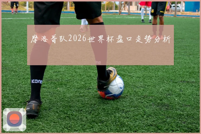 摩洛哥队2026世界杯盘口走势分析