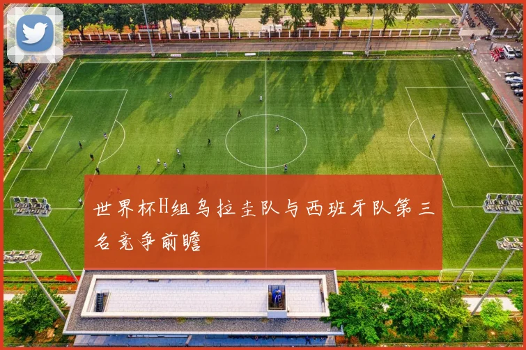 世界杯H组乌拉圭队与西班牙队第三名竞争前瞻