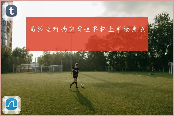 乌拉圭对西班牙世界杯上半场看点